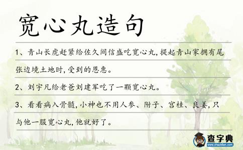 寬心丸造句