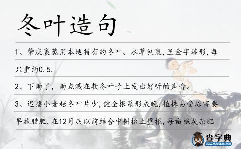 冬葉造句
