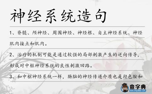 神經系統造句