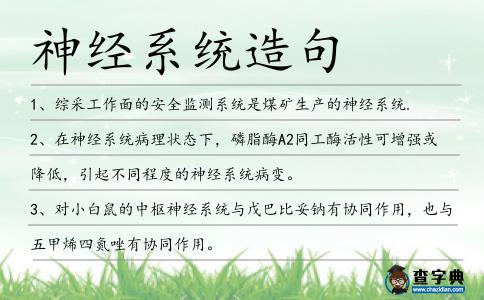 神經系統造句