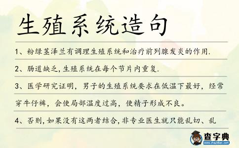 生殖系統造句