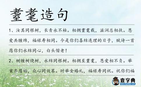 耋耄造句