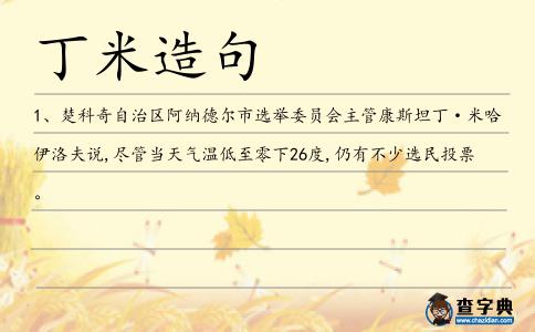 丁米造句