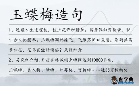 玉蝶梅造句