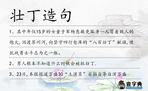 壯丁造句