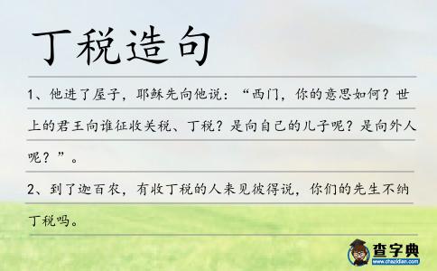 丁稅造句