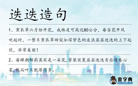 迭迭造句