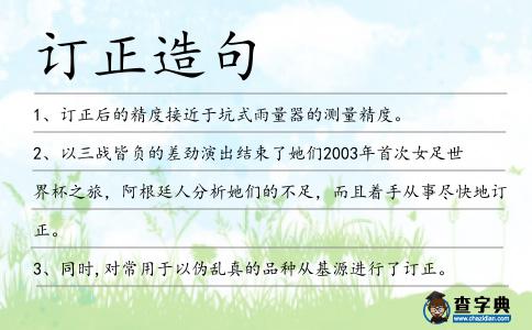 訂正造句