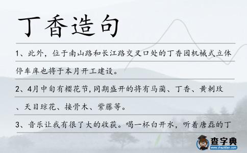 丁香造句