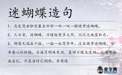 迷蝴蝶造句