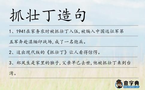 抓壯丁造句