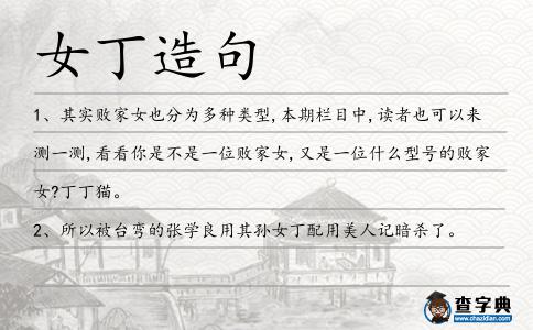 女丁造句