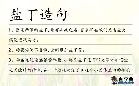 鹽丁造句