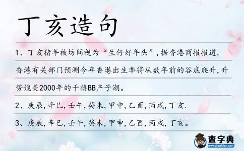 丁亥造句