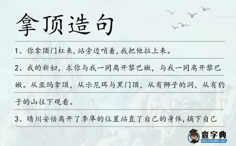 拿頂造句