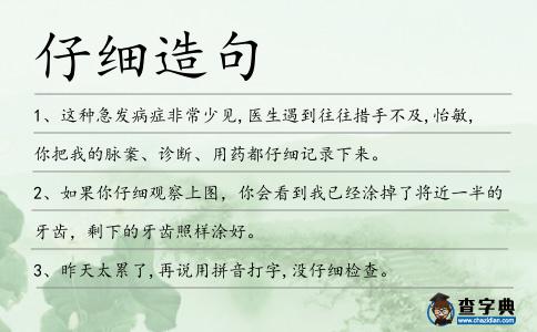 仔細(xì)造句