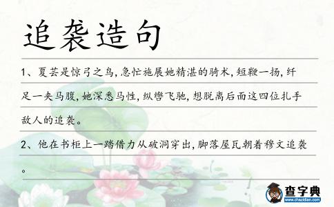 追襲造句