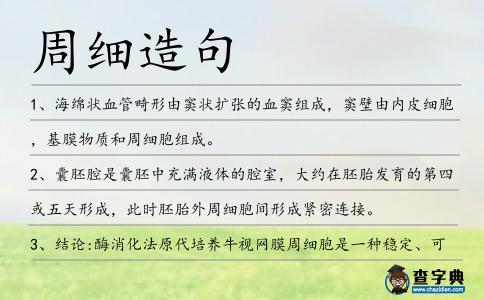 周細造句