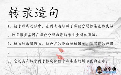 轉(zhuǎn)錄造句