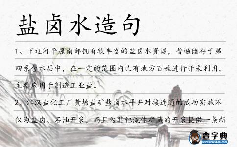 鹽鹵水造句