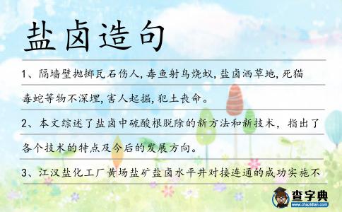 鹽鹵造句