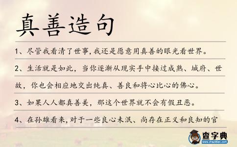 真善造句