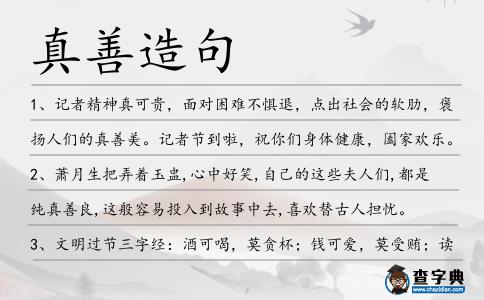 真善造句