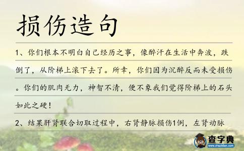 損傷造句