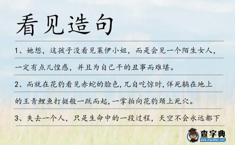 看見造句