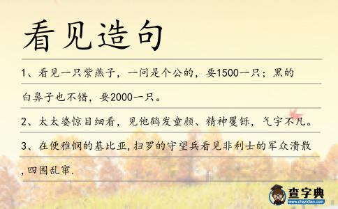 看見造句