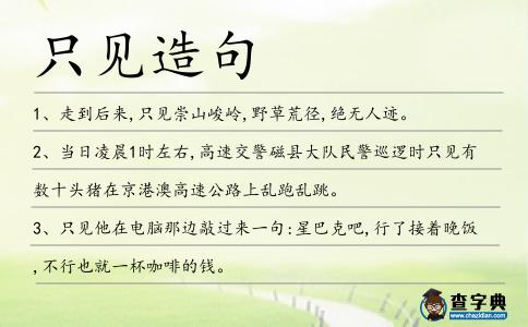 只見造句