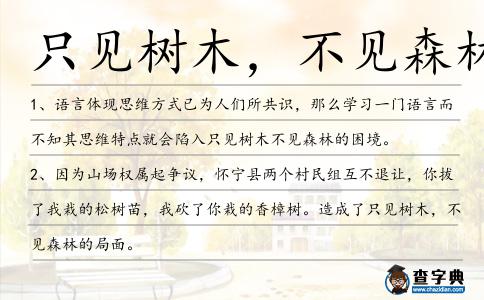 只見(jiàn)樹(shù)木,不見(jiàn)森林造句