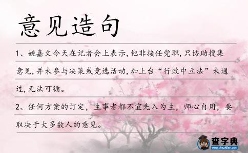 意見造句