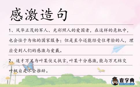 感激造句