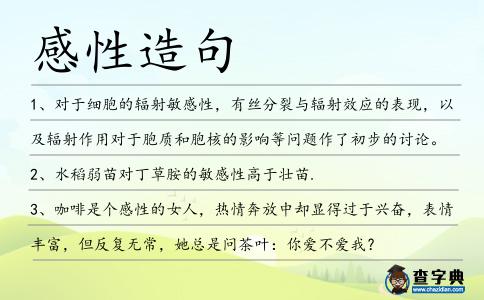 感性造句