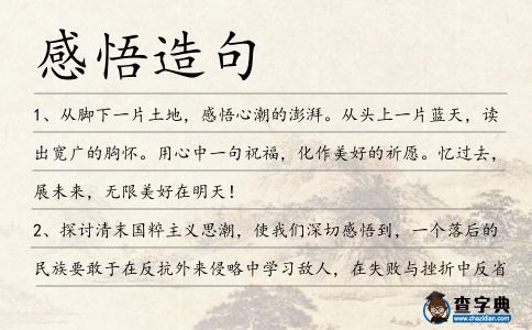 感悟造句