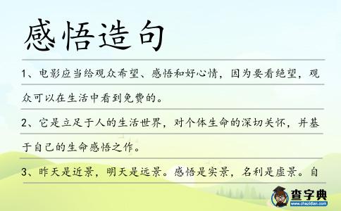 感悟造句