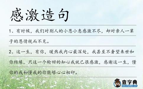 感激造句