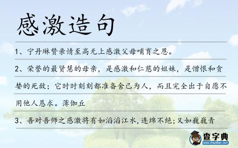 感激造句