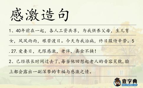 感激造句
