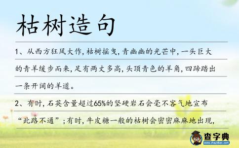 枯樹造句