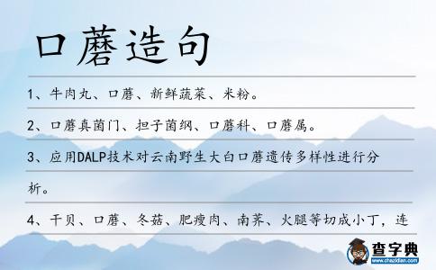 口蘑造句