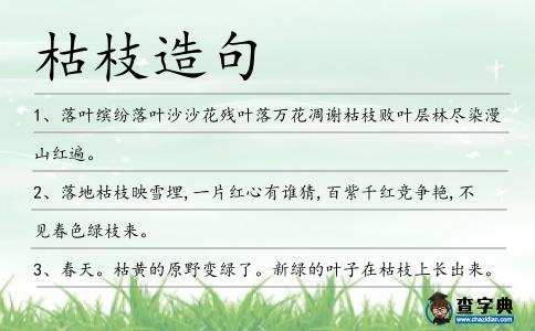 枯枝造句