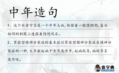 中年造句