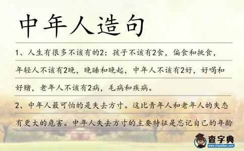 中年人造句