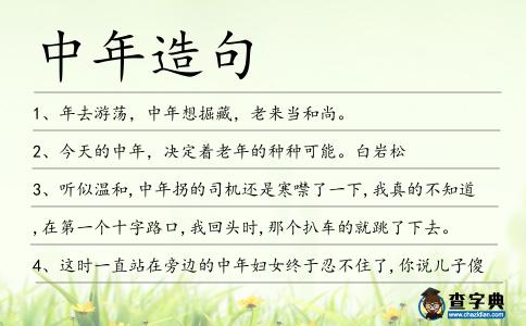 中年造句