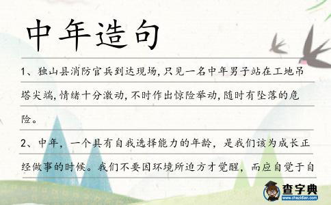 中年造句