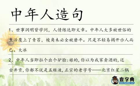 中年人造句