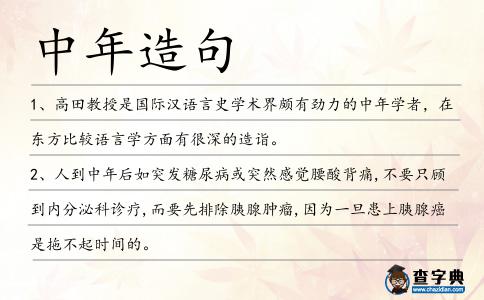 中年造句
