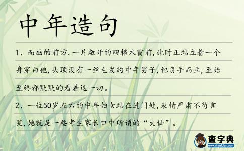 中年造句